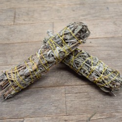 Buen Rollito - Lavanda...