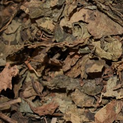 Venta al por mayor de hojas de patchouli Vipartesanias, distribuidores de inciensos, artesanias y productos esotericos.