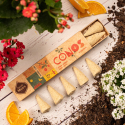 SAGRADA MADRE - Conos Ámbar...