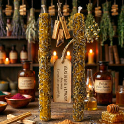 SOULIGHT - Velas de Miel...