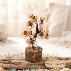 SOULBEAUTY - Arbolito Rudraksh Caracolas - Vipartesanias
