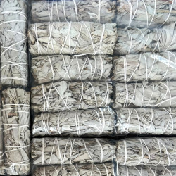 Venta al por mayor de caja master salvia blanca californiana