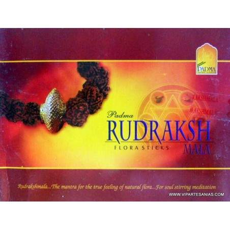 Venta por mayor de Rudraksh Padma