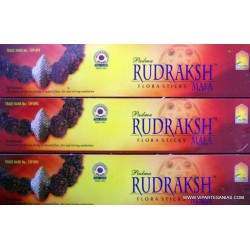 Venta por mayor de Rudraksh Padma