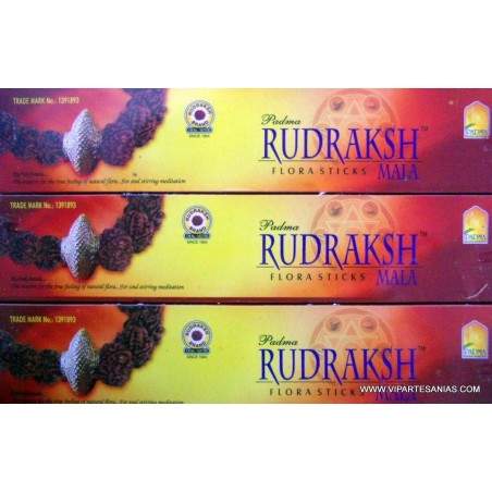 Venta por mayor de Rudraksh Padma